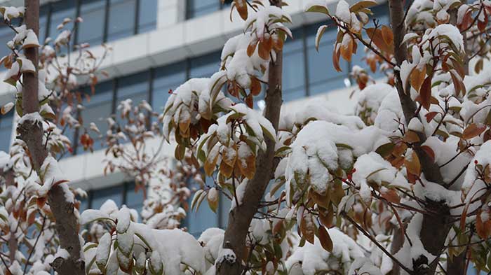 菏泽技工学校